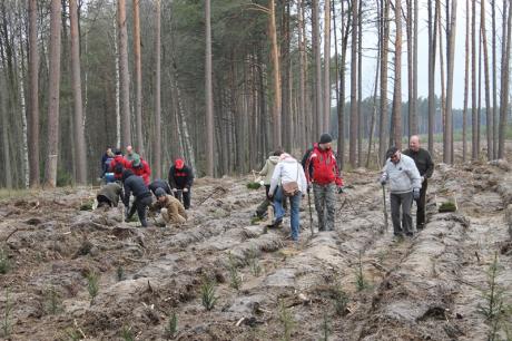 Wspólne sadzenie lasu z pracownikami RDLP Szczecinek